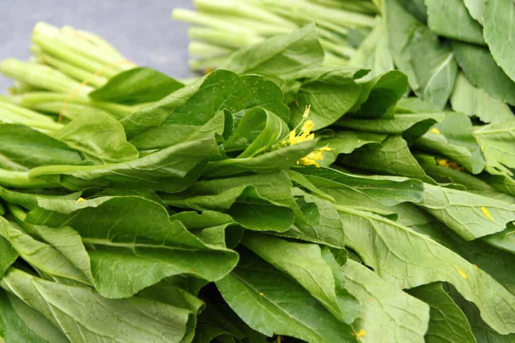 Chinese mustard green