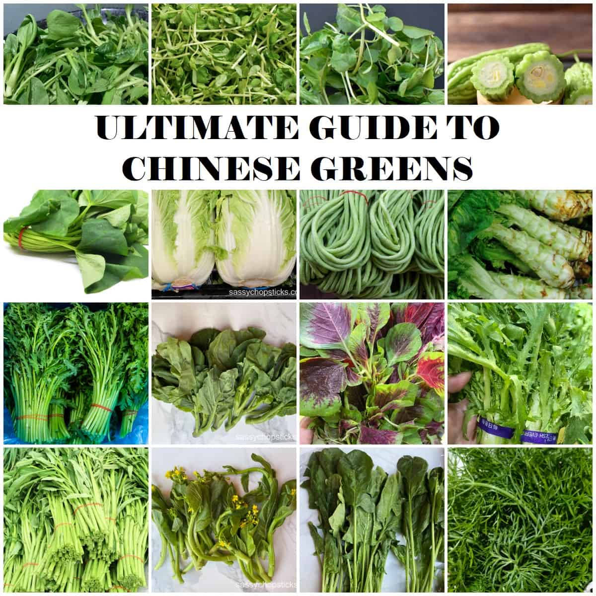 Ultimate Guide To Chinese Greens Sassy Chopsticks