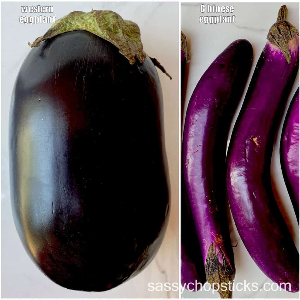 Western eggplant and Chinese eggplant