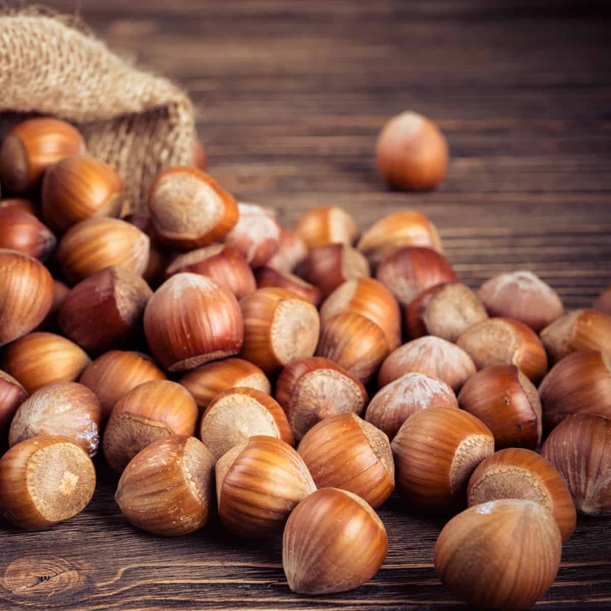 hazelnuts