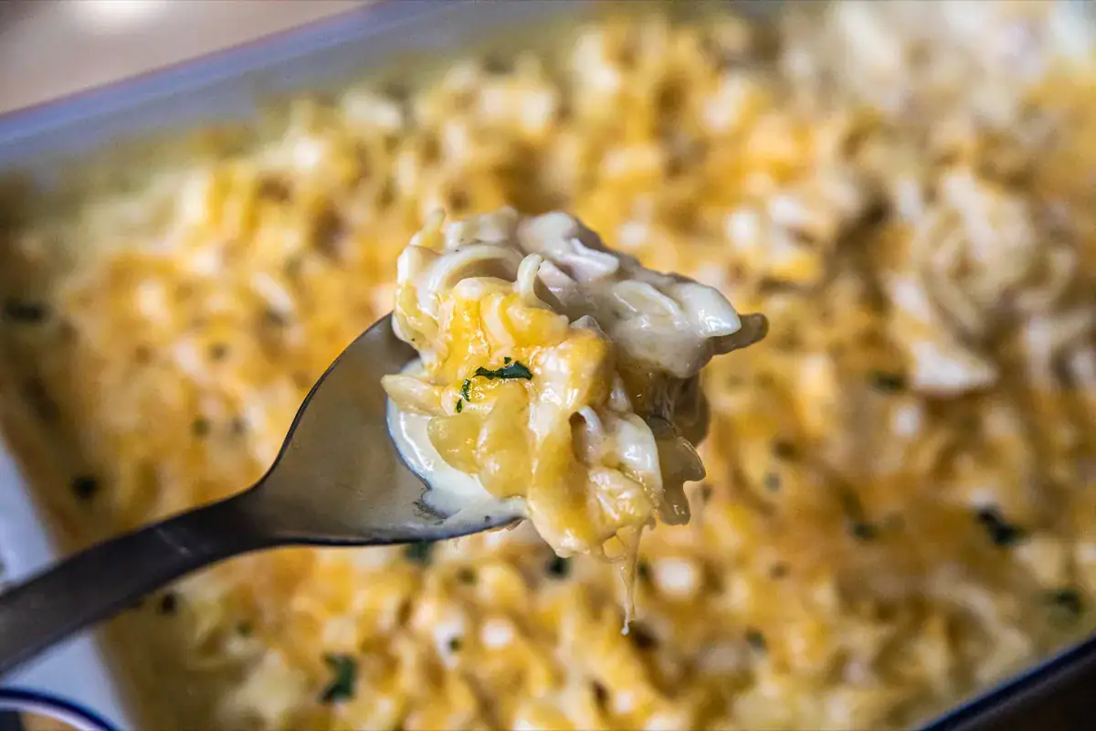 Baked chicken casserole with melted cheese.