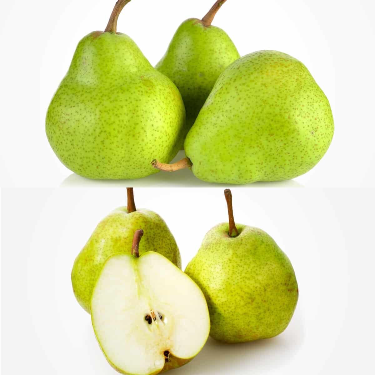 regular pear