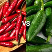 chili pepper vs jalapeno