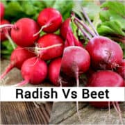 radish vs beet feature