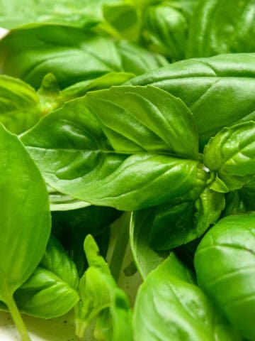 fresh basil