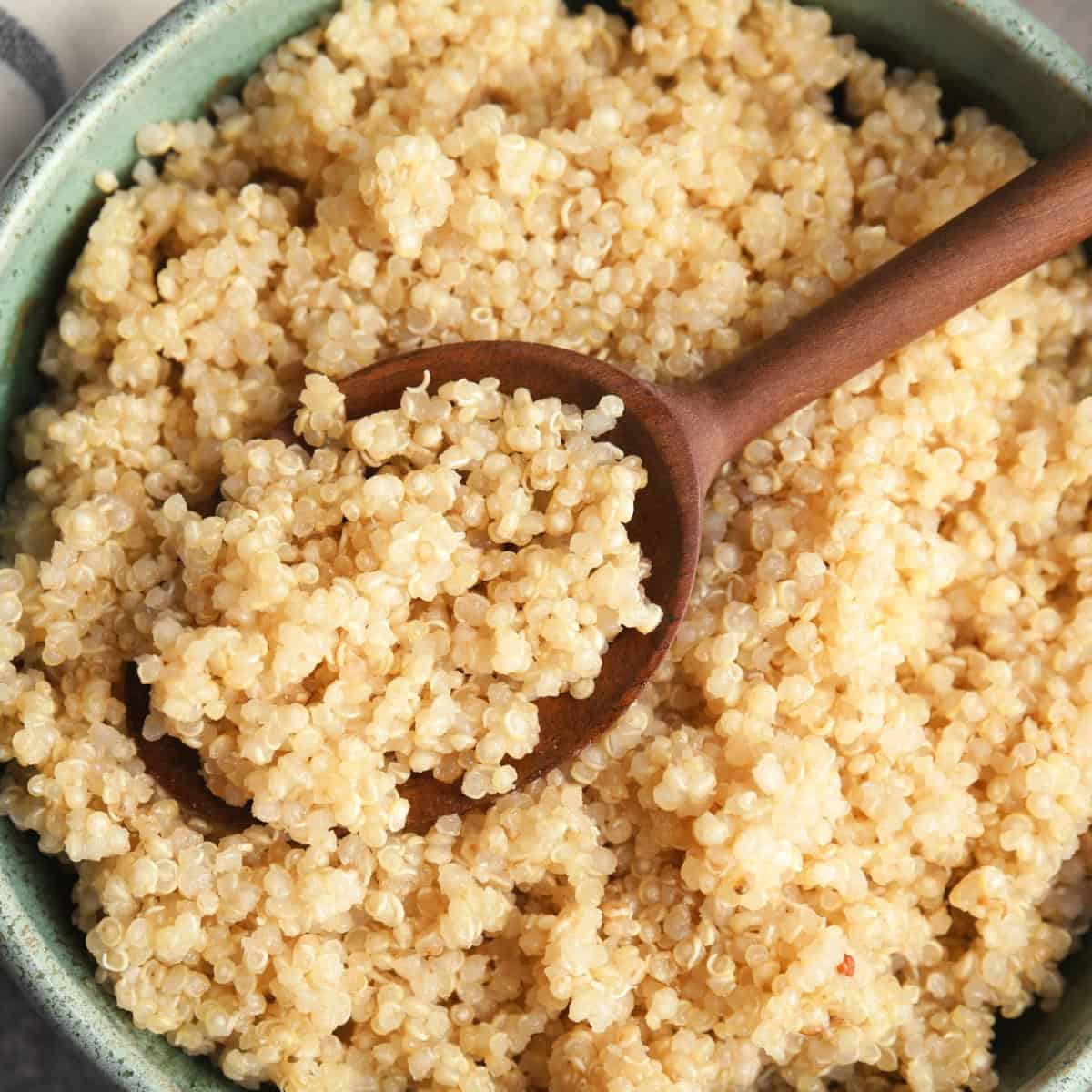 Cooked quinoa in a bowl.