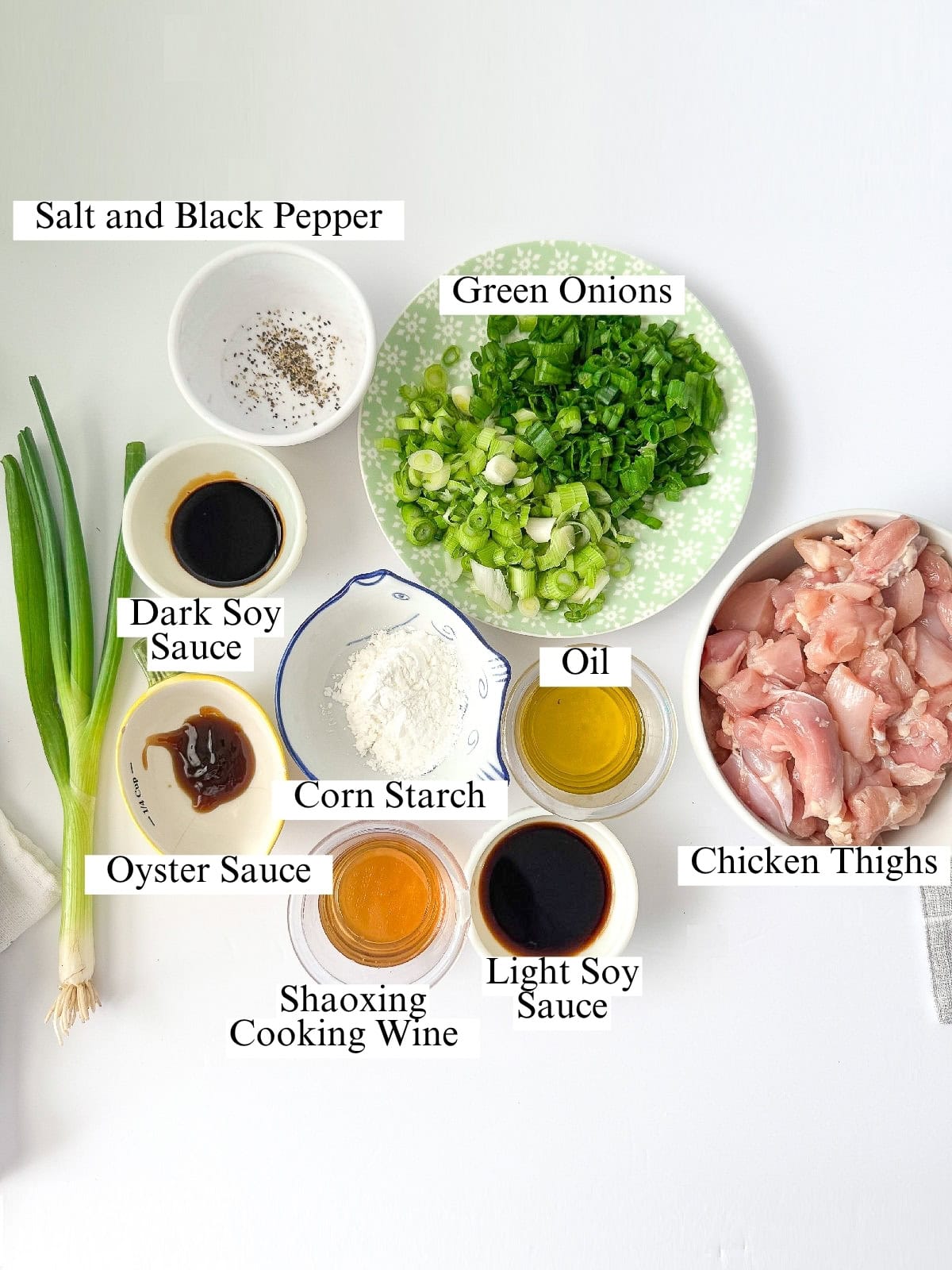 Chinese Scallion Chicken ingredients