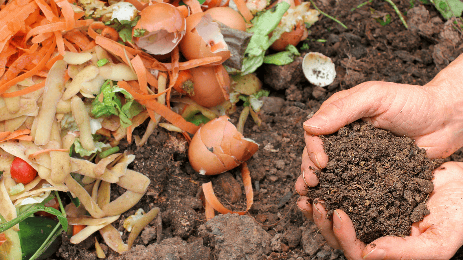 Kitchen scraps placed outdoors on soil, filled with fruit and vegetable scraps, illustrating eco-friendly food waste disposal.