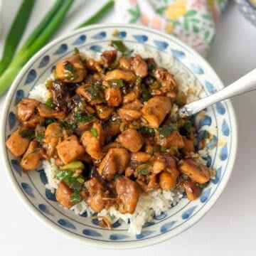 Chinese scallion chicken in a white blue bowl.