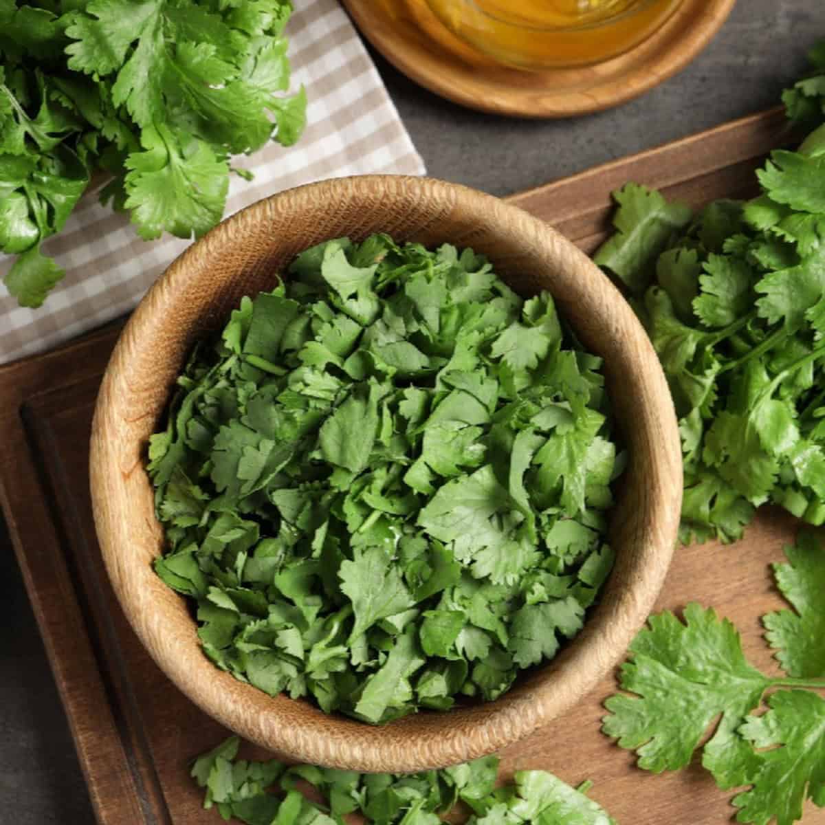 Cilantro in a bowl.