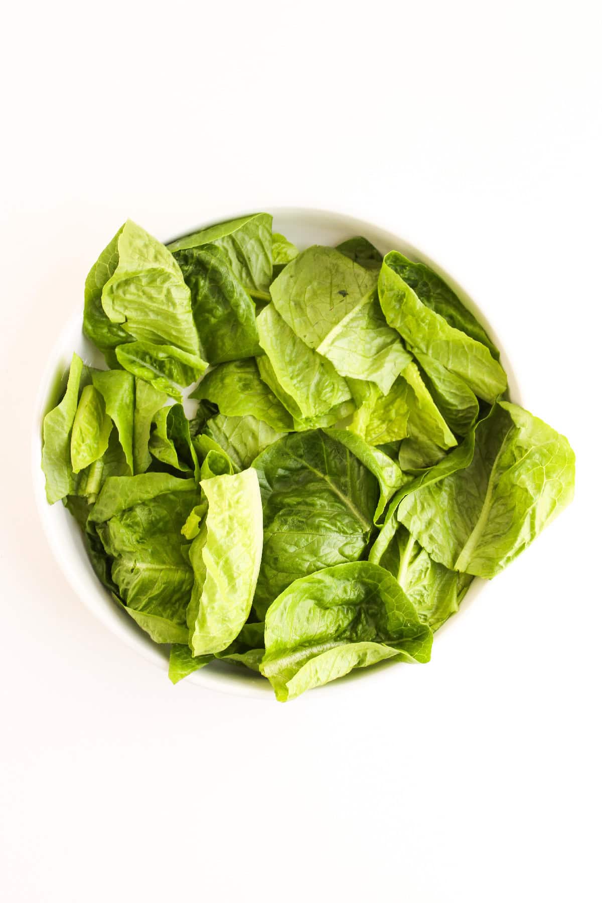 Fresh chopped romaine lettuce in a white bowl.