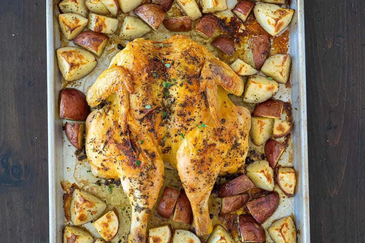 Flattened spatchcock chicken roasted until crispy.