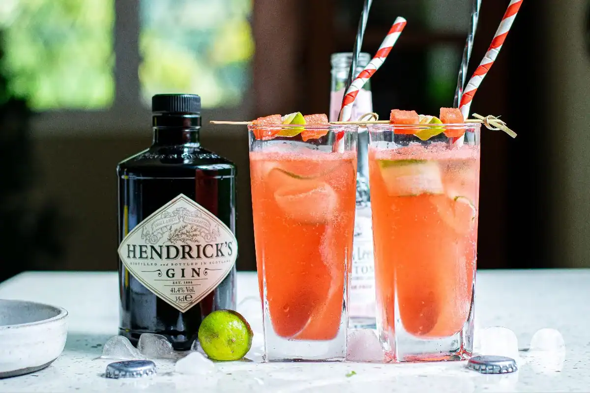 Gin and tonic with watermelon and cucumber ribbons.