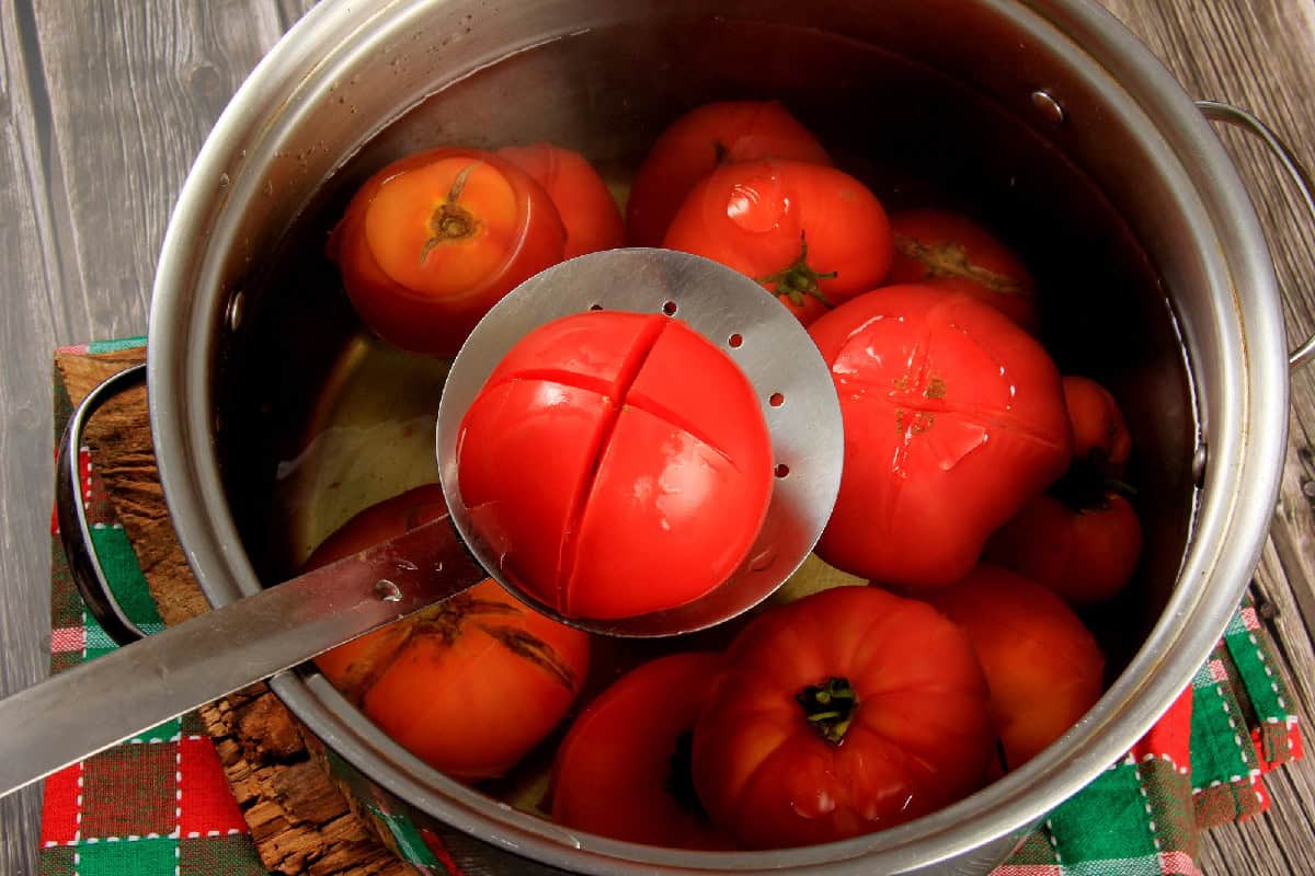 A pan filled with ripe, red tomatoes.