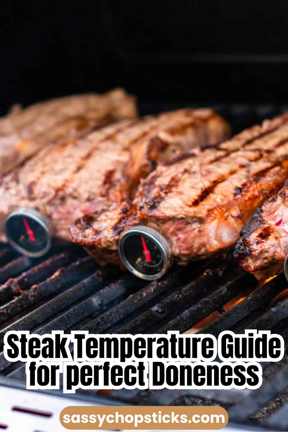 Steak temperature pin.