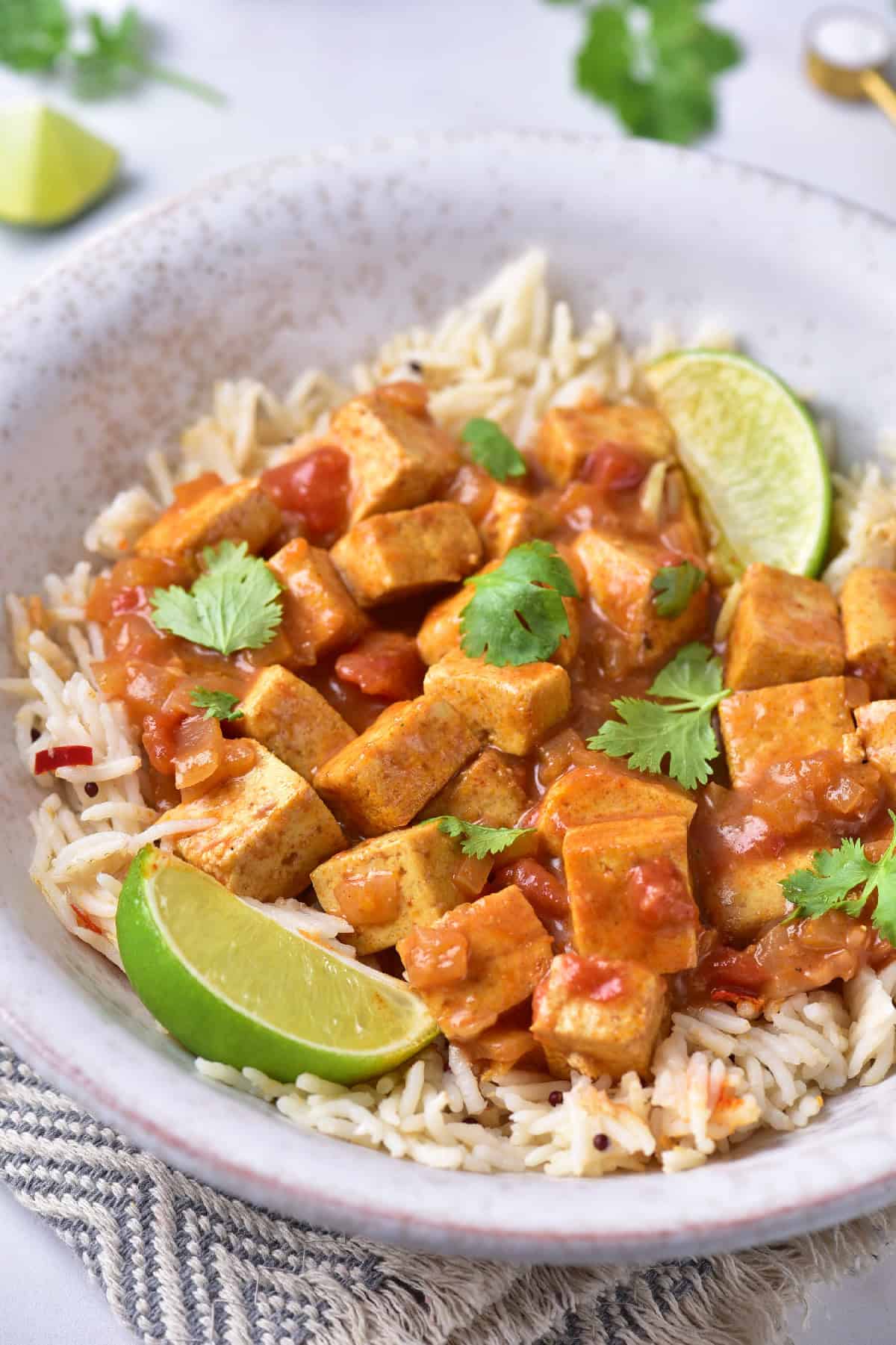 creamy tofu curry with rich tomato-coconut sauce, fresh herbs, and rice, showcasing texture and flavor.