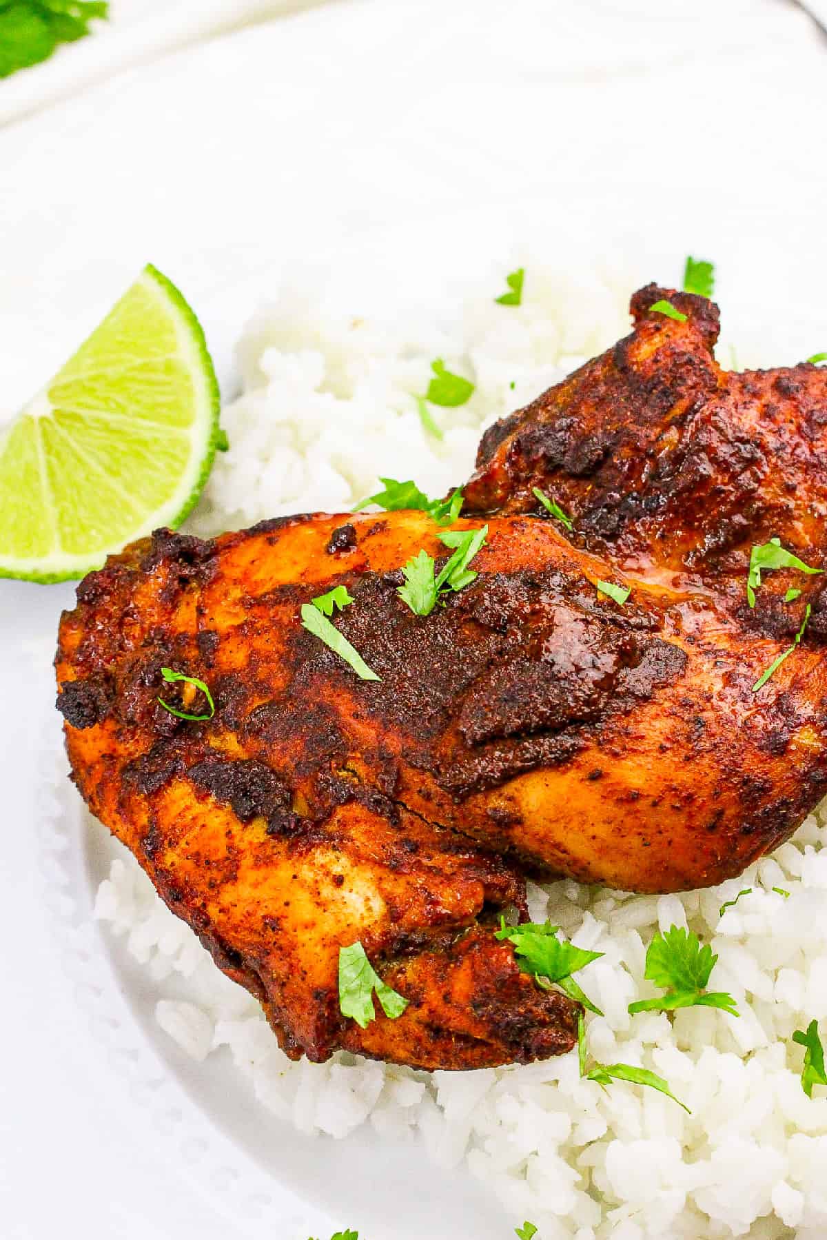 Close-up of spiced tandoori masala chicken thigh on white rice with green cilantro leaves.
