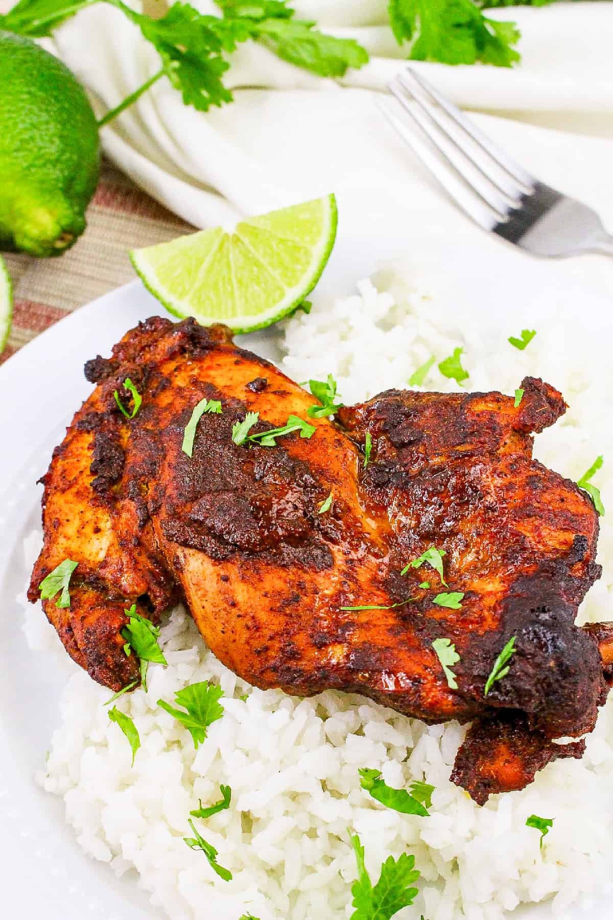Close-up of spiced tandoori masala chicken thigh on white rice with cilantro leaves.