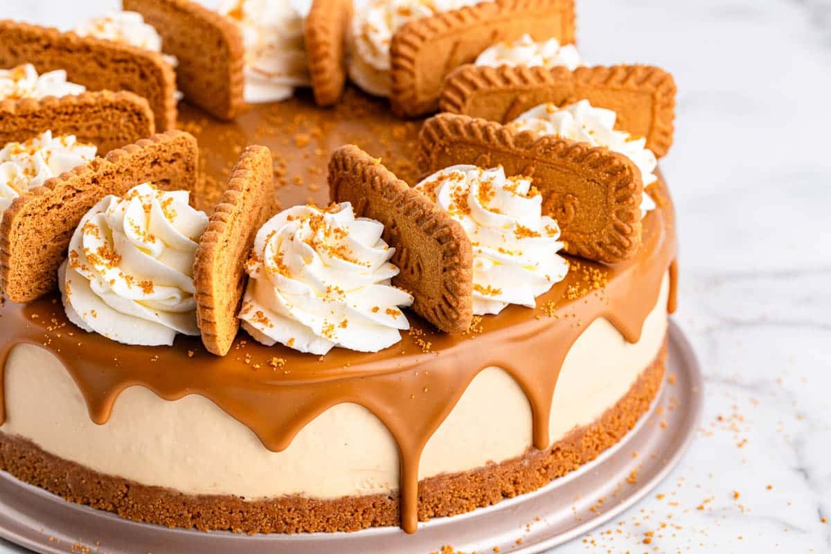 Creamy cheesecake infused with Biscoff cookies and rich caramel flavor.