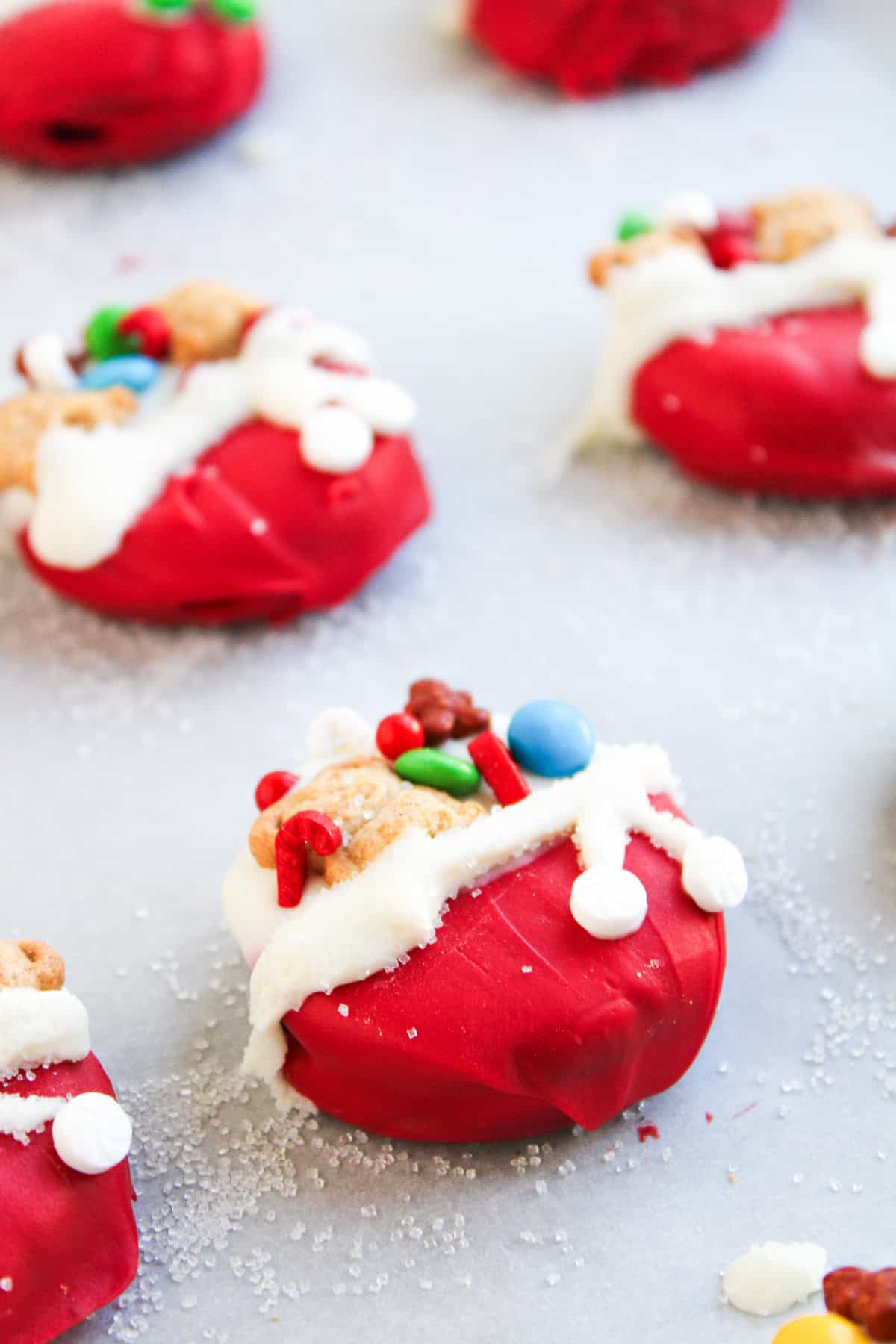 Close-up of a festive Christmas Oreo dipped in red and white chocolate and decorated with candy and teddy bear crackers.