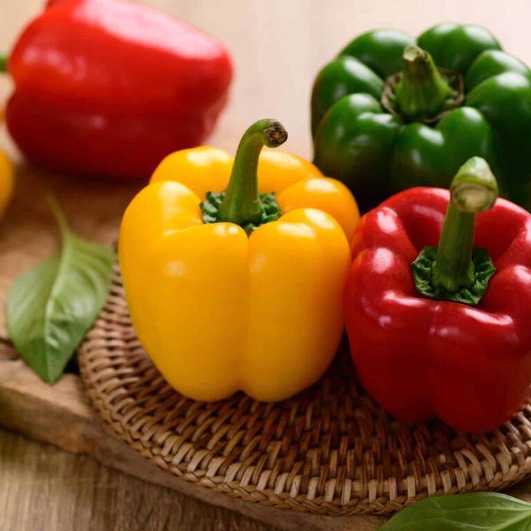Assorted red, yellow, and green bell peppers displayed together.