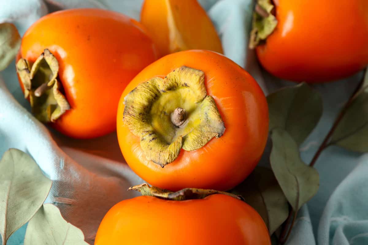 Close-up of ripe orange persimmons with green leafy tops resting on a light blue cloth, showcasing their smooth skin and vibrant color.
