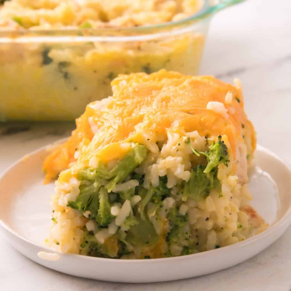 A cheesy chicken broccoli rice casserole slice served on a white plate, with tender chicken, broccoli, and melted cheddar in a creamy baked casserole.