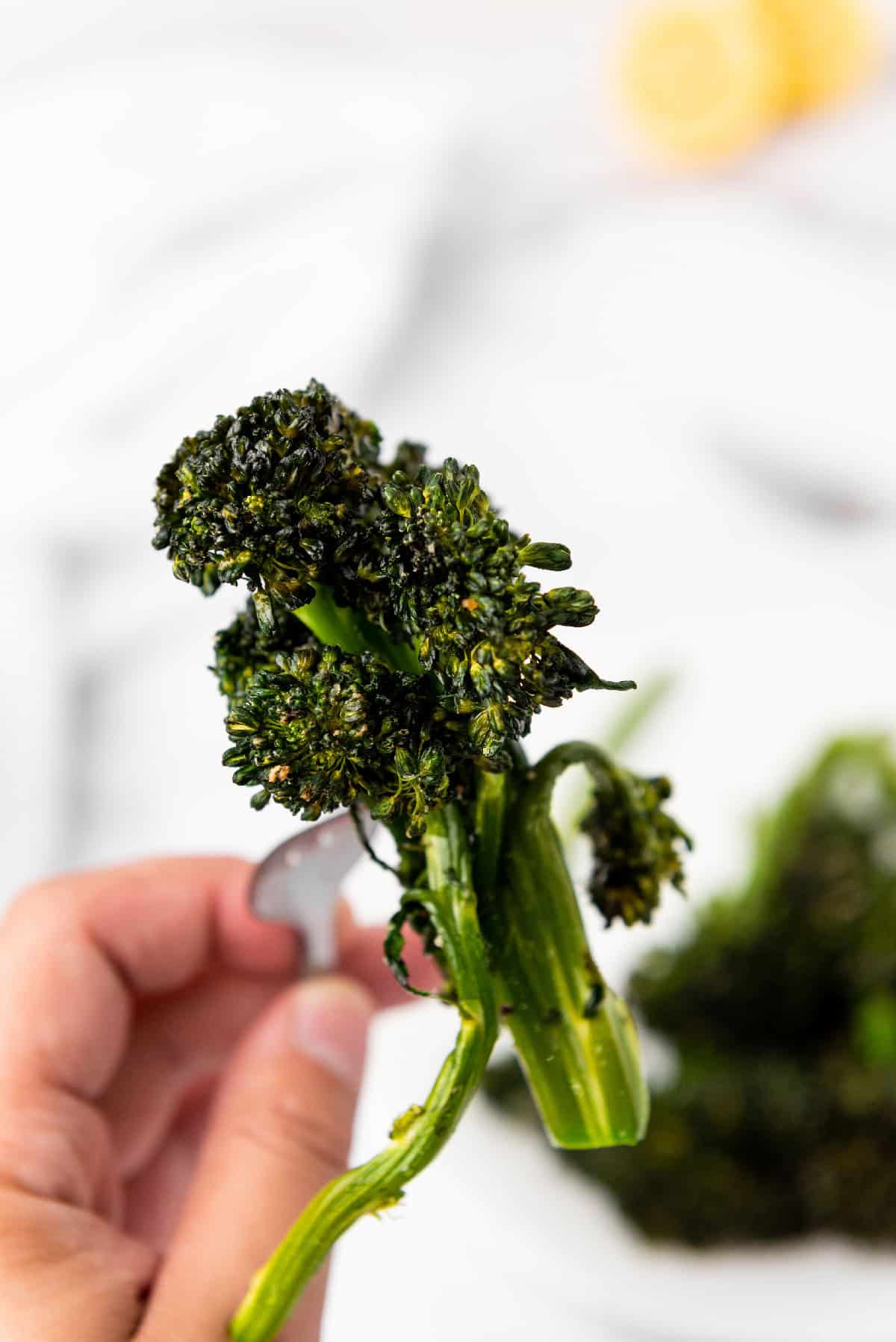 Broccolini floret held up on a fork to show crispy texture.