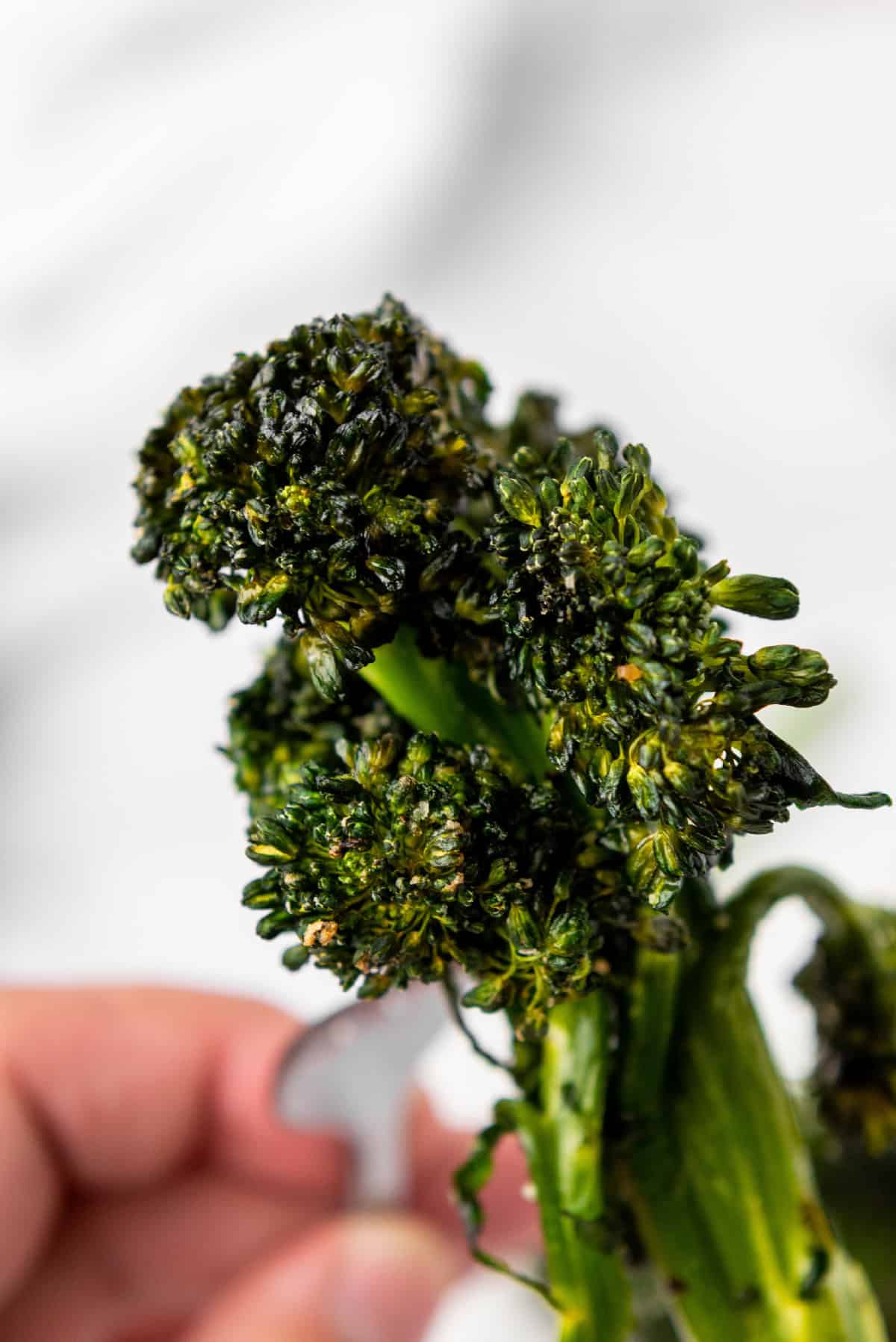 Close-up of crispy roasted broccolini showing browned edges.