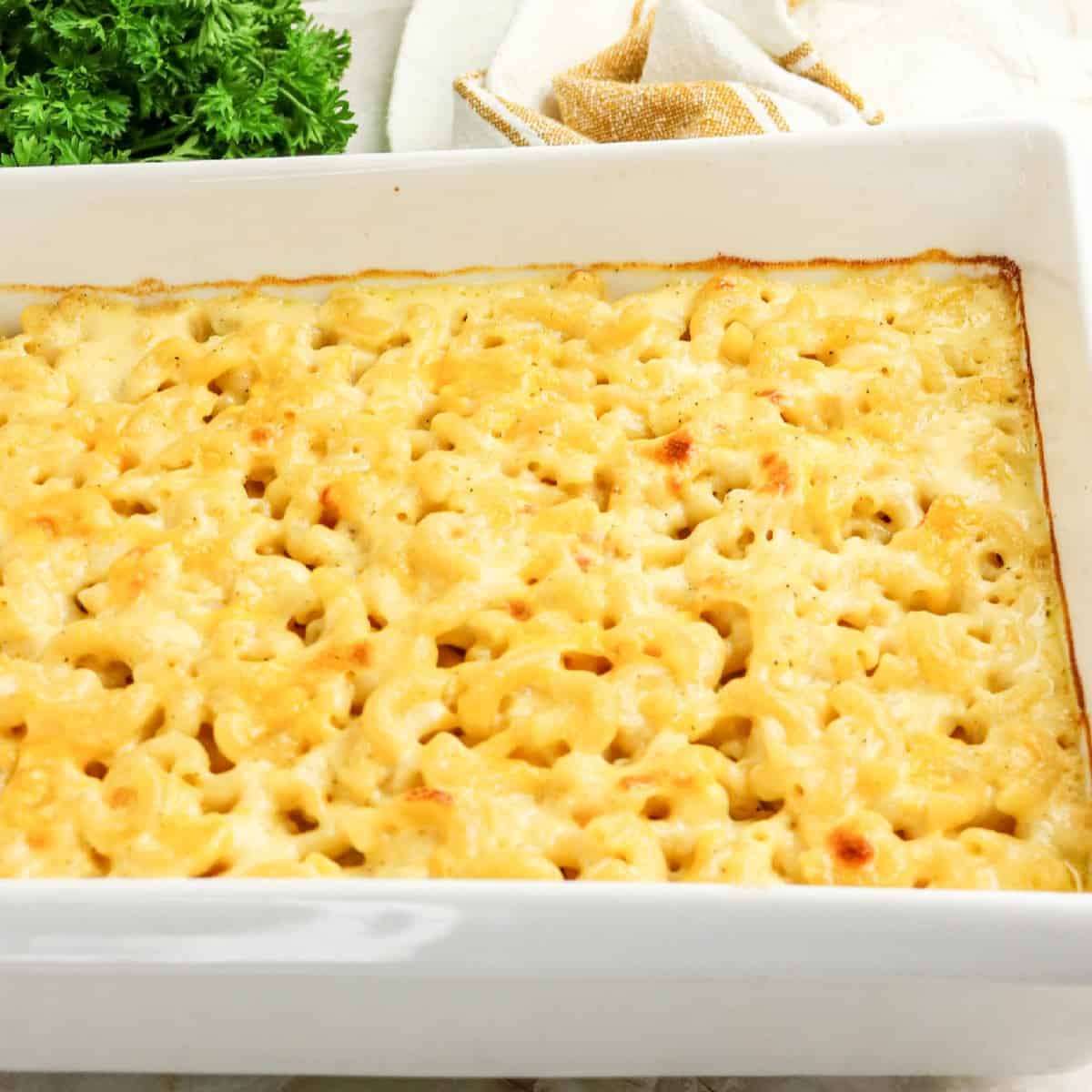 Baked three cheese macaroni and cheese in a white casserole dish.
