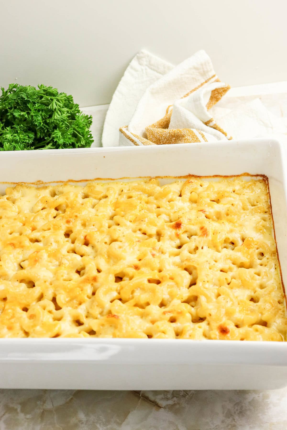 Baked three-cheese macaroni and cheese in a white casserole dish with a golden, bubbly top.