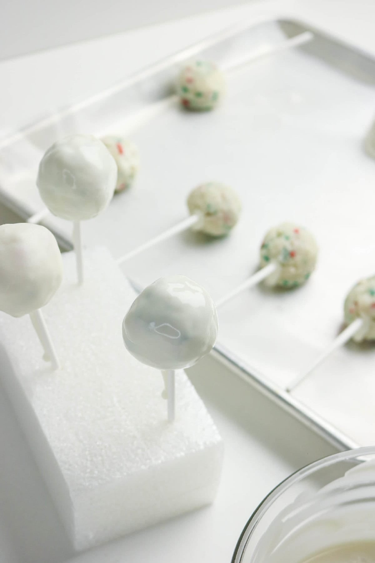Cake pops dipped in white chocolate and standing upright in foam to set.