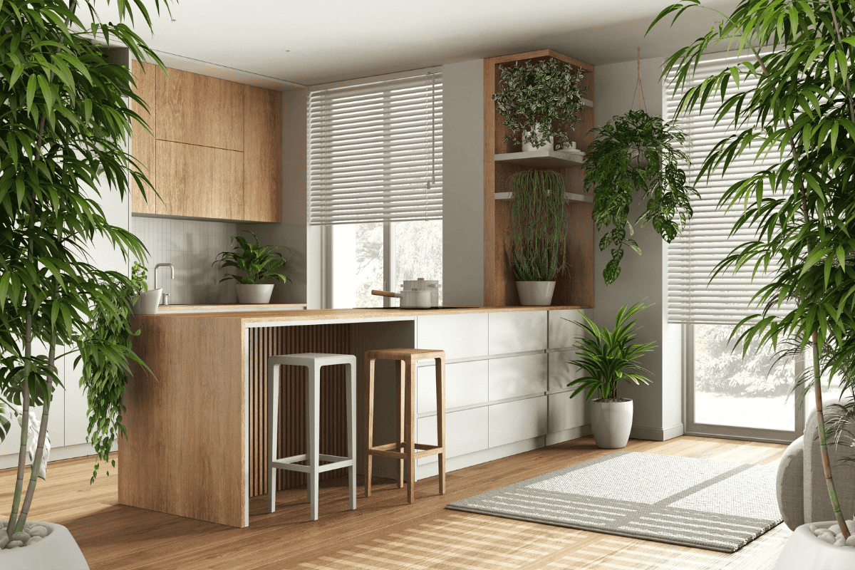 A sunlit, modern kitchen with a wood-and-white island, bar stools, open shelving, and abundant indoor plants near large windows with blinds.