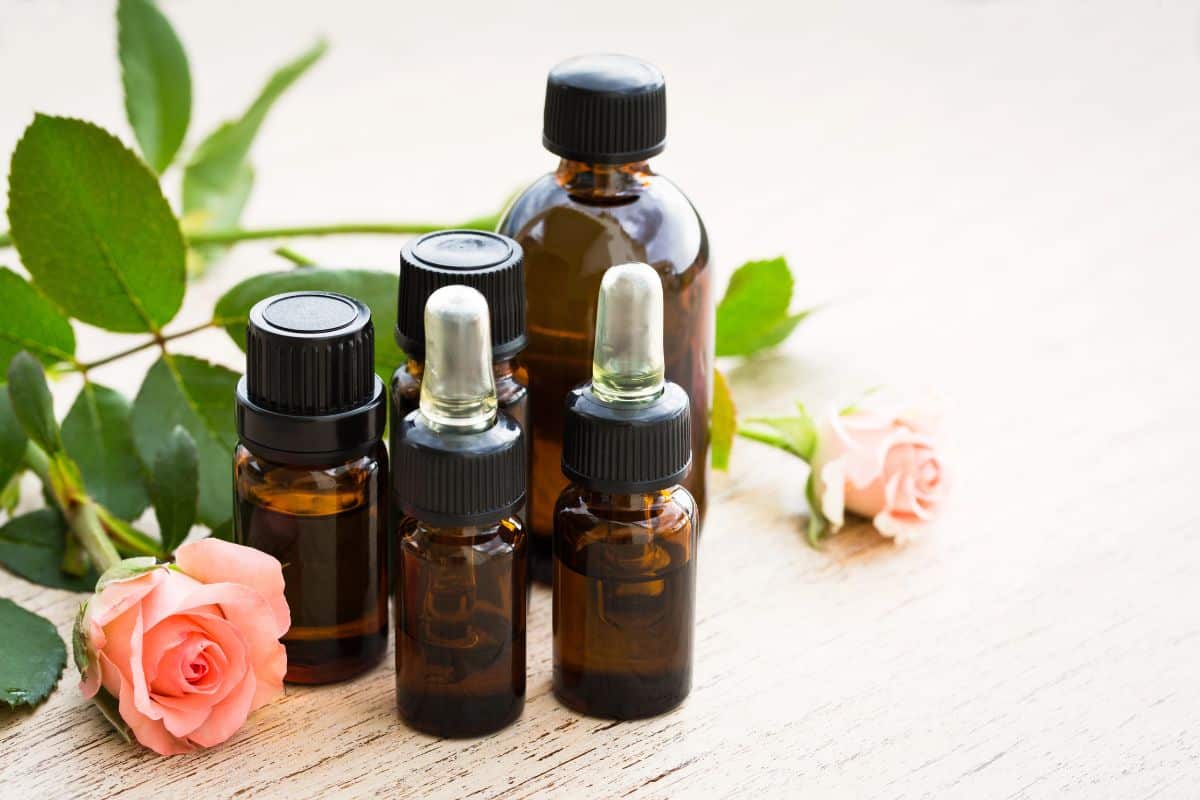 Amber glass bottles of essential oils arranged with pink roses and green leaves on a wooden surface.