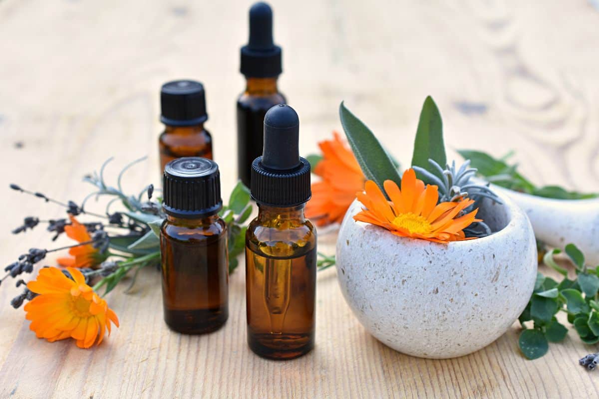 Amber dropper bottles of essential oils sit on a wooden surface beside orange flowers and fresh herbs.