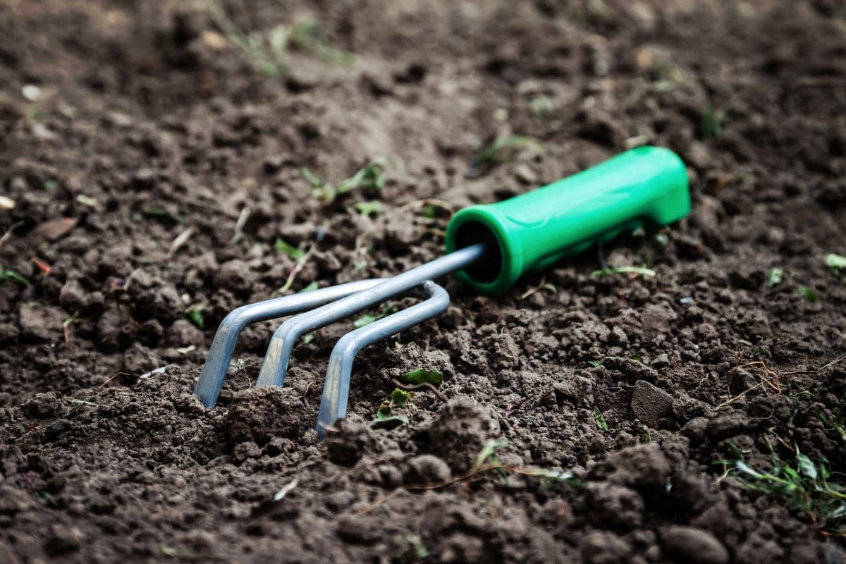A small hand cultivator with a green handle rests on freshly turned soil.