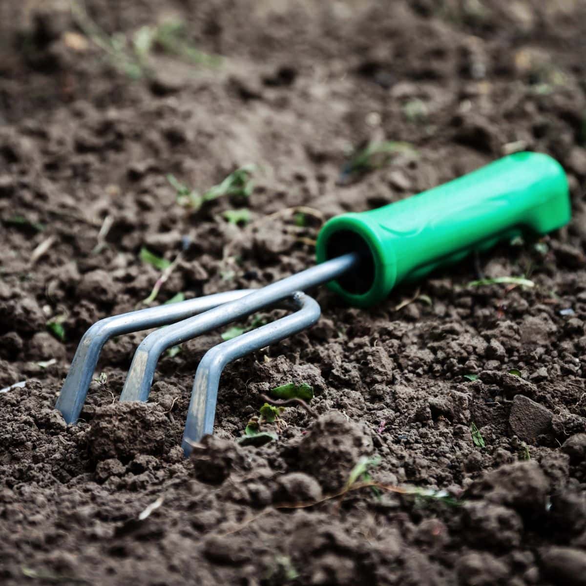 A small green-handled hand cultivator sits on freshly tilled soil.