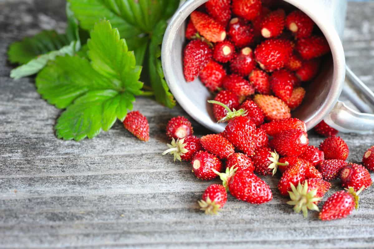 Wild strawberries spill from a small metal cup onto a wooden surface, with fresh green leaves beside them.