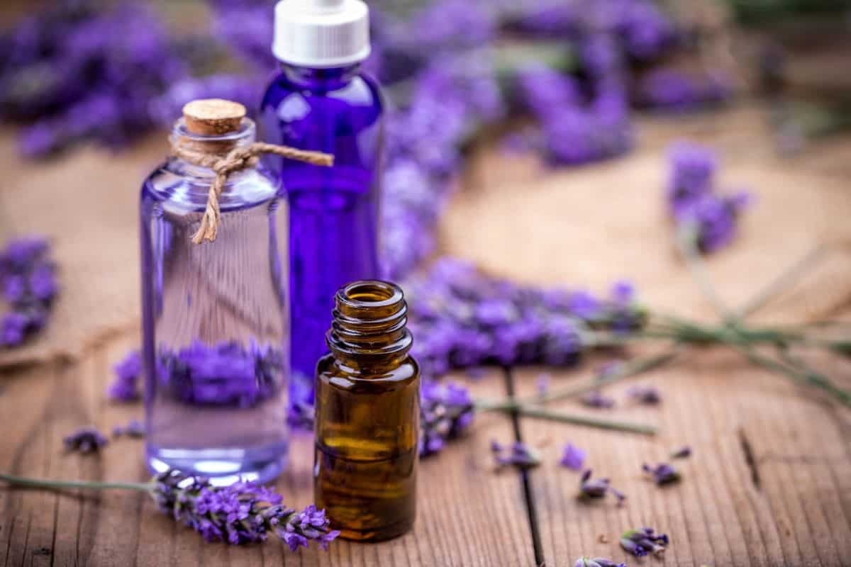 Glass bottles of lavender essential oil arranged on a wooden surface with fresh lavender sprigs.