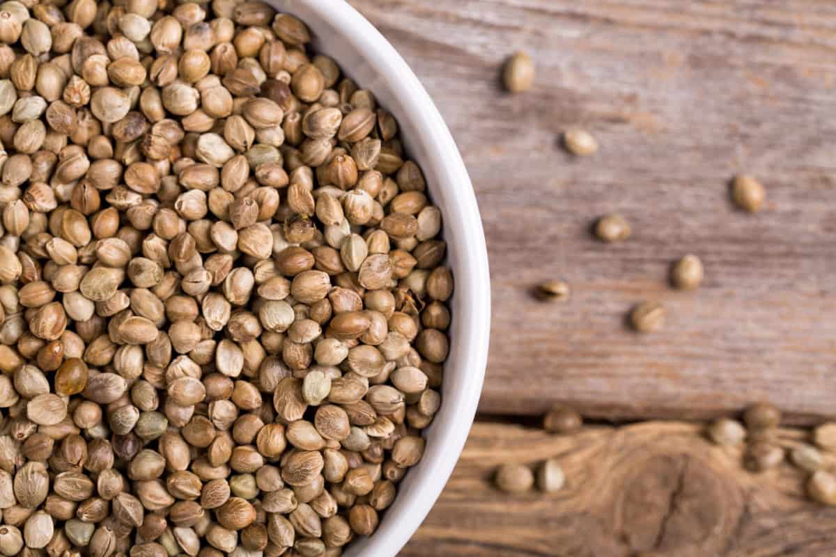 Hemp seeds in a white bowl on a wooden surface, a nutritious vegan source of healthy fats.