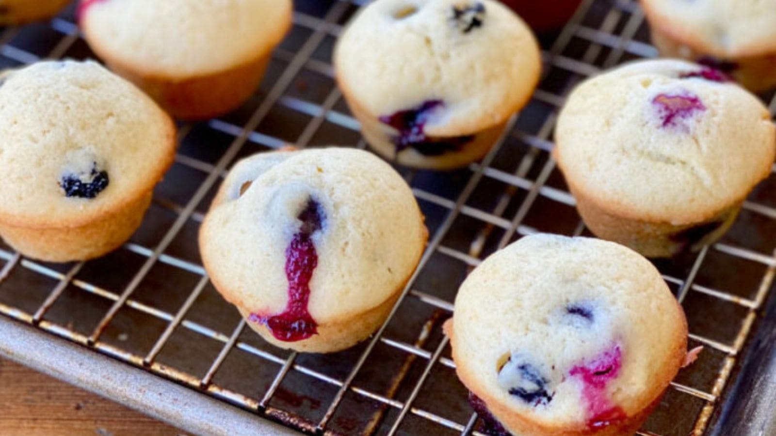 Old-fashioned blueberry muffins with golden tops and soft centers.