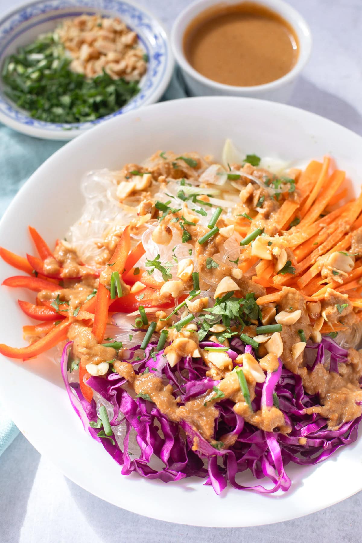 Spring roll in a bowl topped with peanut sauce, red cabbage, carrots, rice noodles, and chopped peanuts.