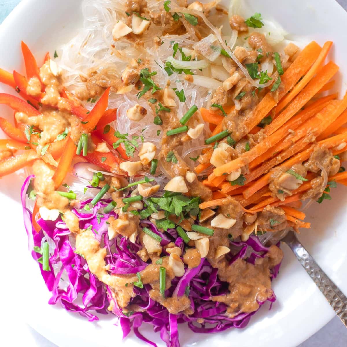 Spring Roll in a  white Bowl.