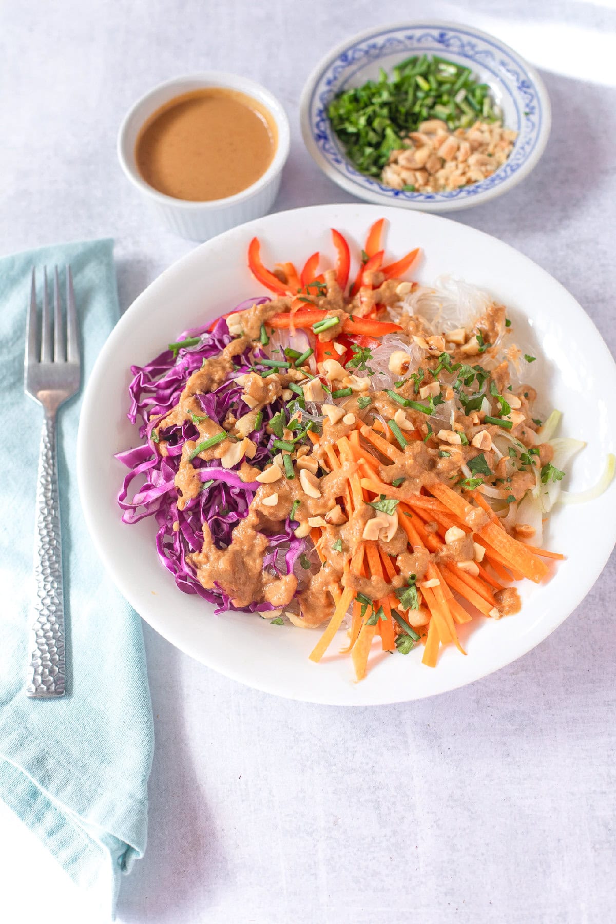 Overhead view of a spring roll noodle bowl with peanut sauce, shredded carrots, red cabbage, bell peppers, and chopped peanuts.