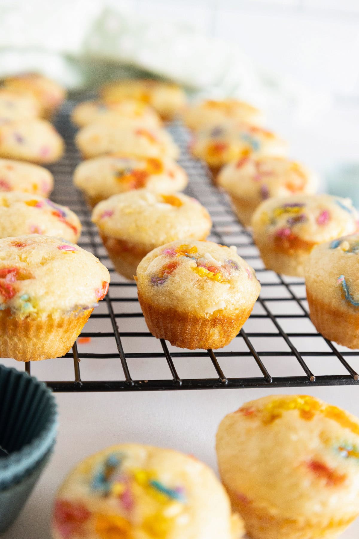 Birthday cake mini muffins cooling on a wire rack with soft blurred background.
