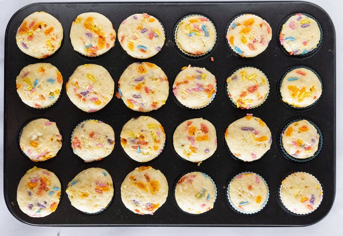 Freshly baked birthday cake mini muffins cooling in a mini muffin pan.