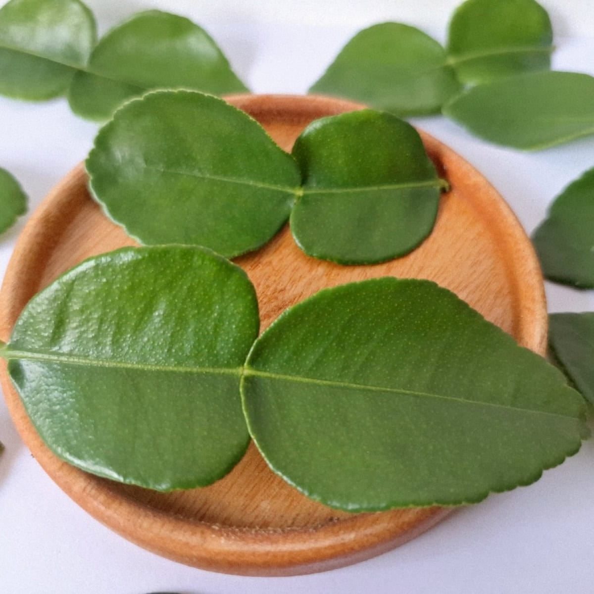 Some fresh kaffir lime leaves used as a substitute for lemongrass.