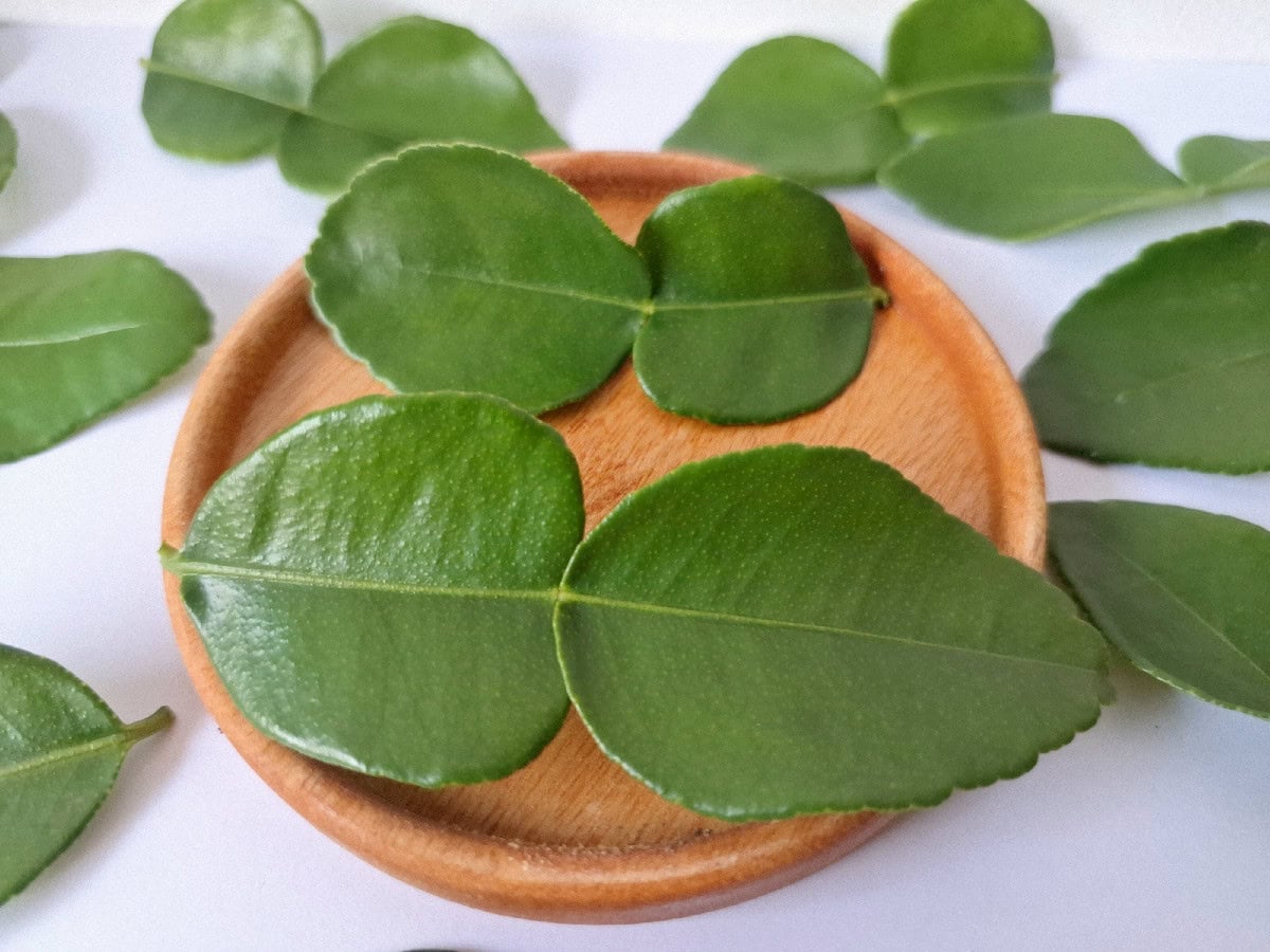 Fresh kaffir lime leaves used as a substitute for lemongrass.