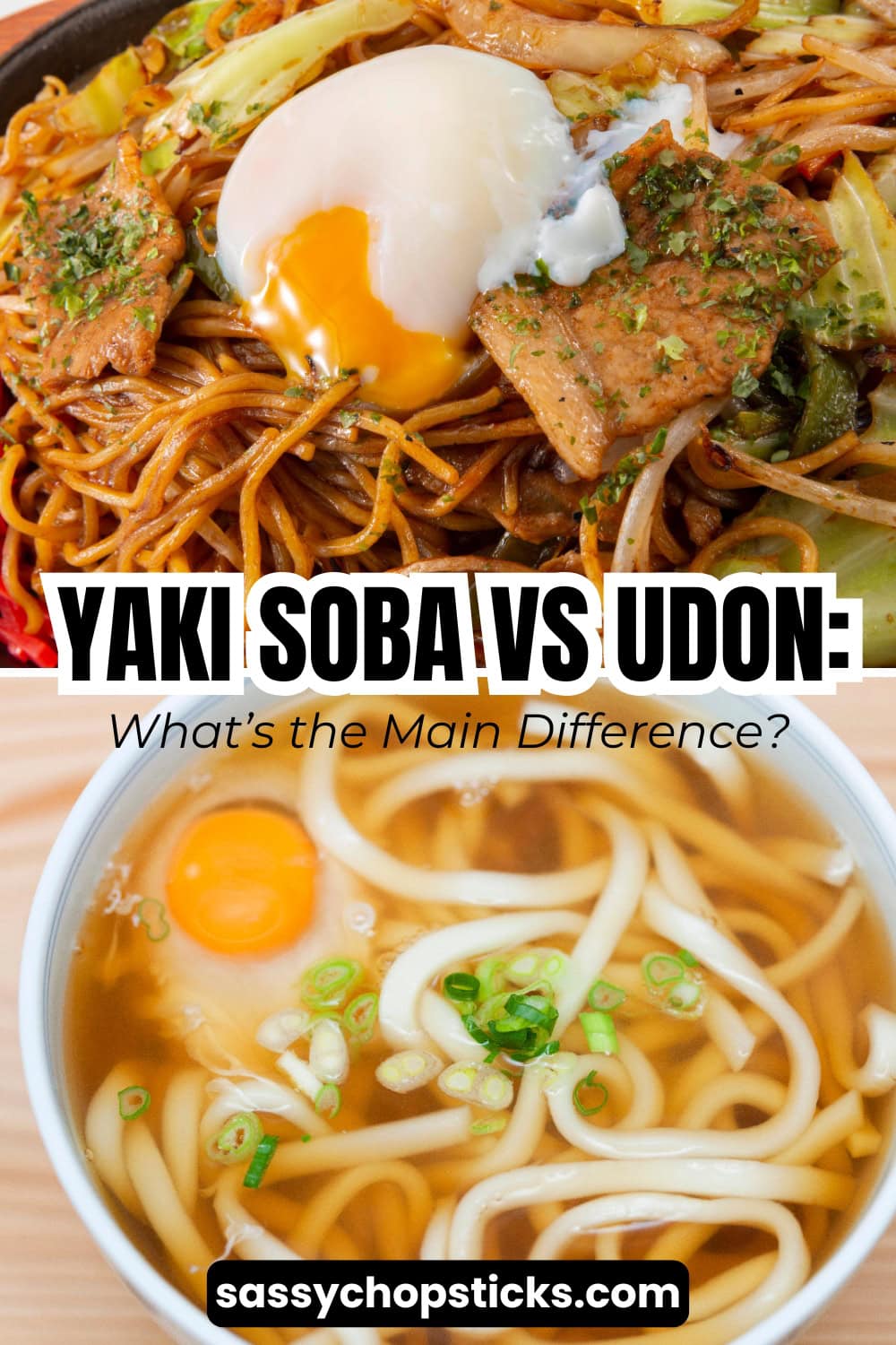 Yaki soba vs udon comparison showing Japanese stir-fried noodles and udon soup.