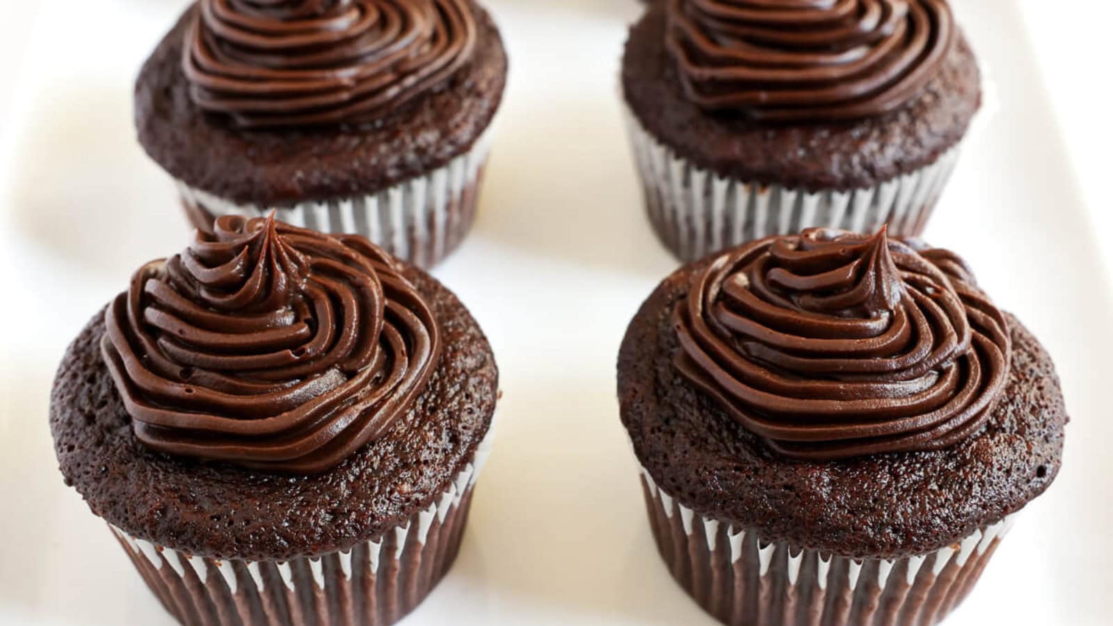 Rich gluten-free chocolate cupcakes topped with chocolate frosting.